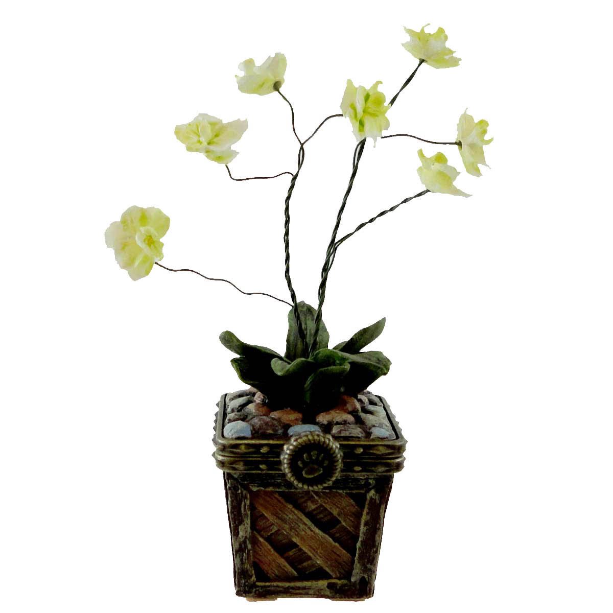 Boyds Leila's Orchid w/Bloom McNibble treasure Box