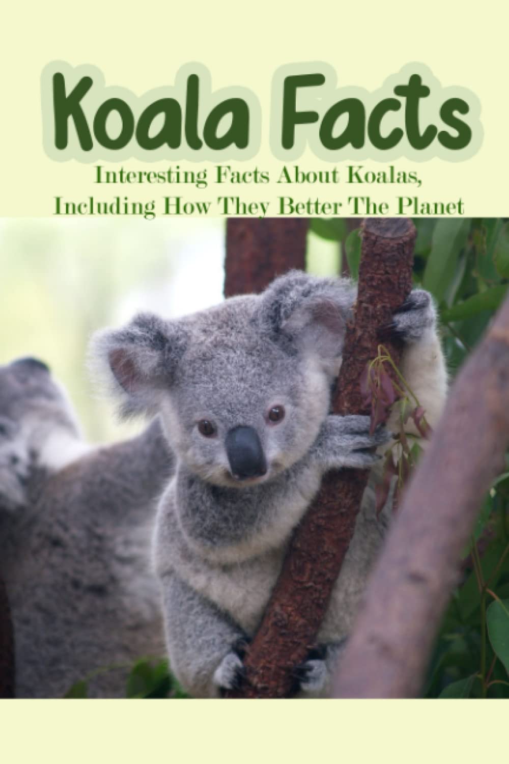 Buy Koala Facts Interesting Facts About Koalas, Including How They