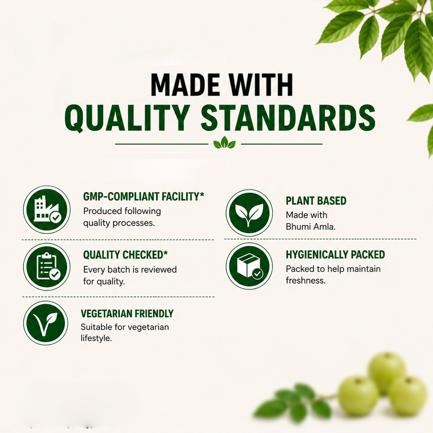 Vedikroots Bhumi Amla Powder/Churn - Organic And Pure Ingredient Extract For Healthy Liver Functioning And Digestive Strength Enriched With Essential Nutrients