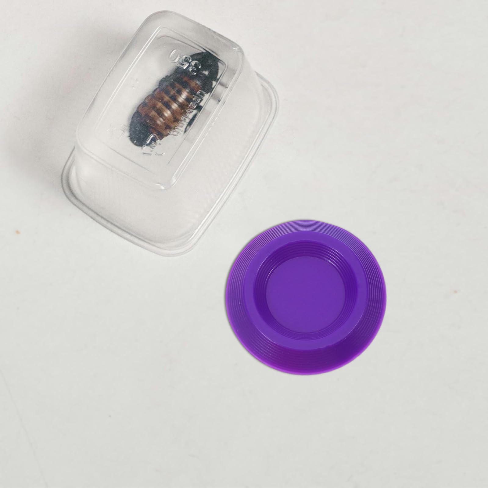 Amazon | CVUTOVO デュビア用餌皿 12個セット 小型昆虫フィーダー
