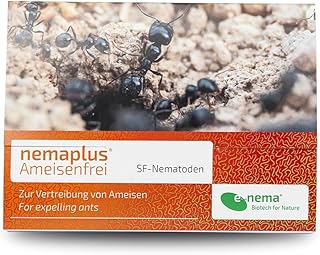 Ameisen bekämpfen mit e-nema SF Nematoden | 50 Mio. für 50 m² oder bis zu 50 Nester | Ameisenfrei