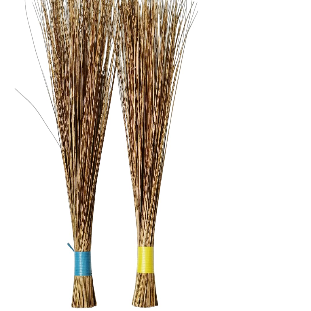 iINTELLIGENCEi | Long Coconut Broom Sticks for Home Cleaning, Wall Ceiling | For Garden Wet Floor Cleaning, Outdoor, Sweeping Dust & Dirts | Hard| Above 80cm Long, 995gm Net Wt., 2 Qty. (B09XHZJKTM) Amazon Price History, Amazon Price Tracker