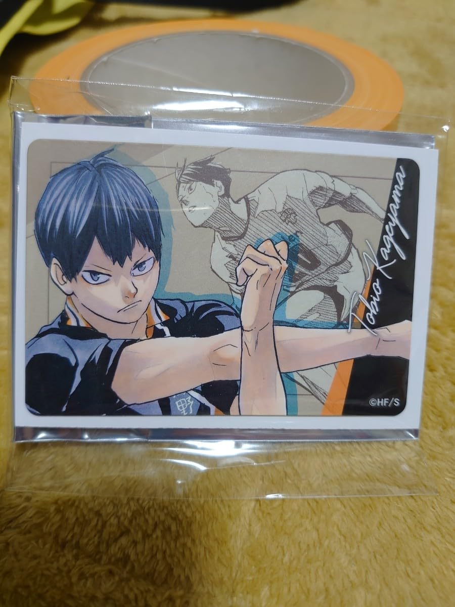 ハイキュー！！影山飛雄　シルキーマグネット ハイキュー!! TV型マグネット 影山飛雄: キャラグッズ