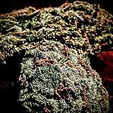  MoneyTrain (feat. O\'FME) [Explicit]