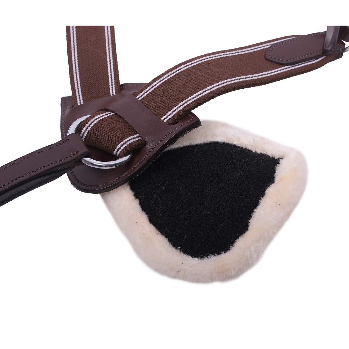 QHP Collier de Chasse Ontario - Marron - COB
