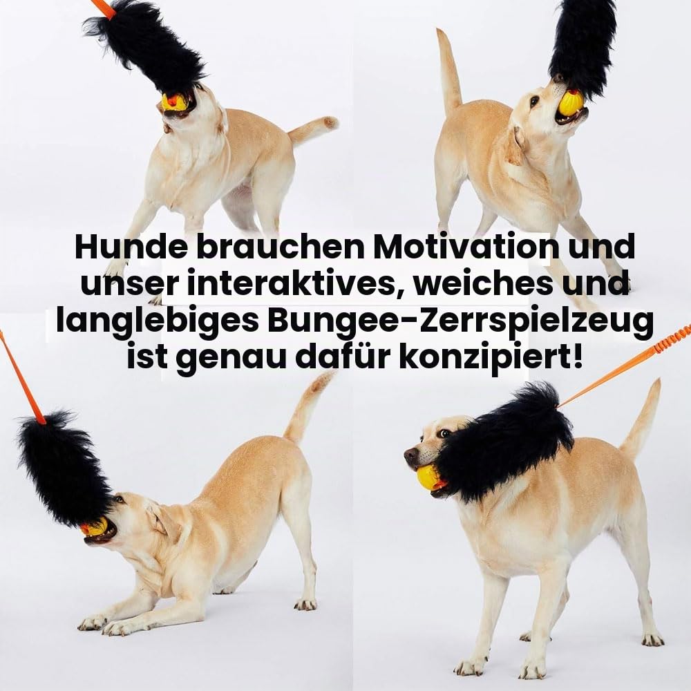 HOWGO Bungee-Chaser-Spielzeug für Hunde, 100% Schaffell, Bungee-Chaser-Spielzeug, Seil-Fogy, Zerrspielzeug für alle Rassen