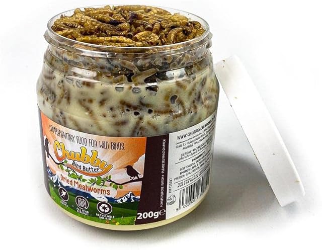 Chubby Wild Bird Food/Bird Butter - Mealworm Flavour