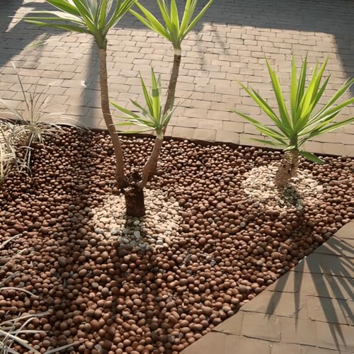 Argila Expandida 10lts Drenagem Decoração Jardim 3222