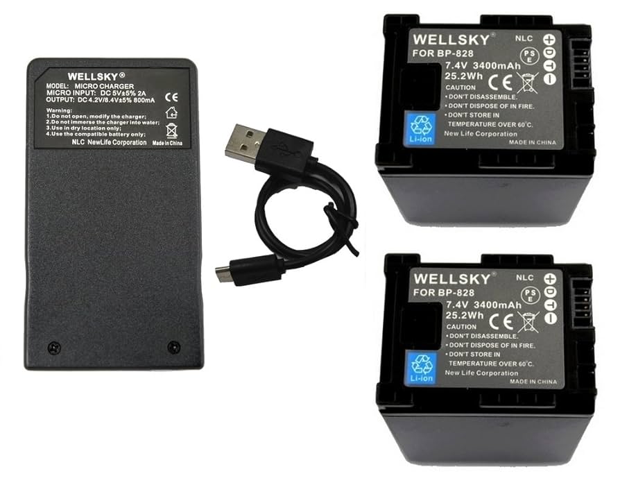 Amazon.co.jp: WELLSKY BP-828 BP-280 互換バッテリー 2個 + CG