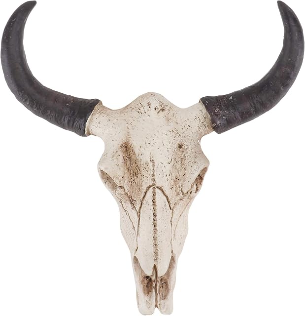 BESPORTBLE Long Horn Cow Skull Wall Plaque Made From Resin Halloween Art Crafts Ornaments,Cow Bull Bison Skull Decor Environmental Friendly and Durable Resin Skull Sculpture Wall Hanging Art