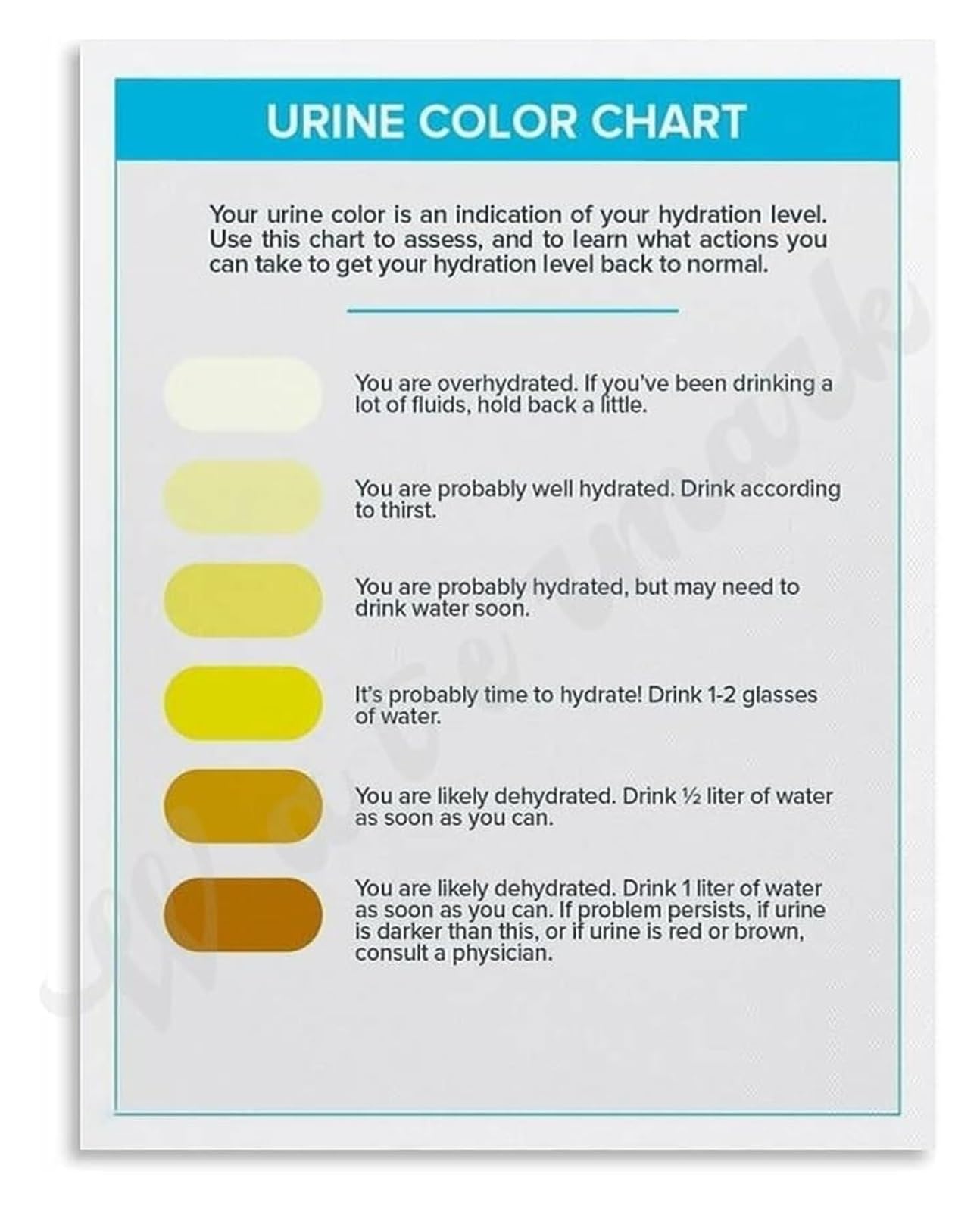 MQXFCZUX Urine Colour Chart for Hydration Monitoring Educational Guide Canvas Print Home Decor