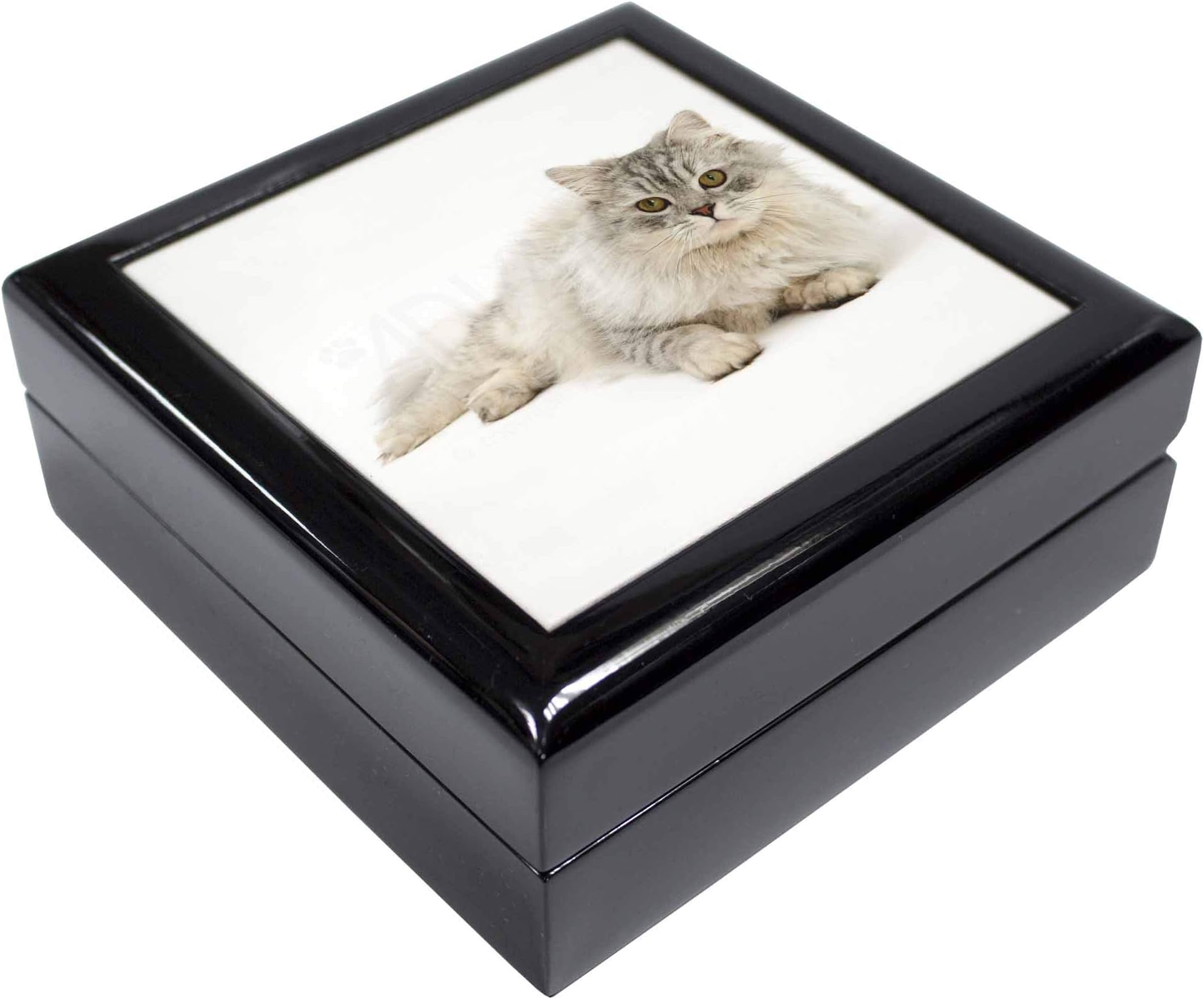 Advanta GroupAdvanta Group Silver Chinchilla Persian Cat Keepsake/Jewellery Box