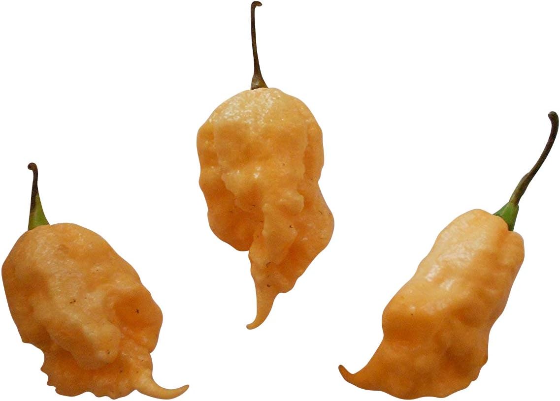 Jay's Peach Ghost Scorpion Hot Pepper -> 10 Seeds by Samenchilishop