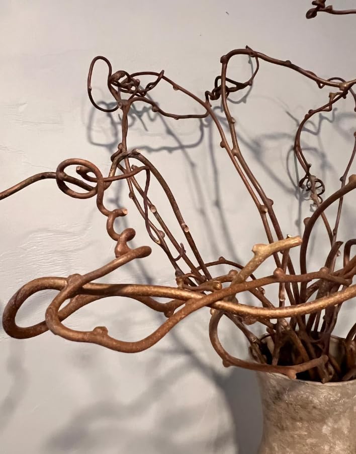 Dried Real Kiwi Vine Branches - 36" Natural Decorative Twigs for Floor Vases & Floral Arrangements - Boho Home Decor Centerpiece