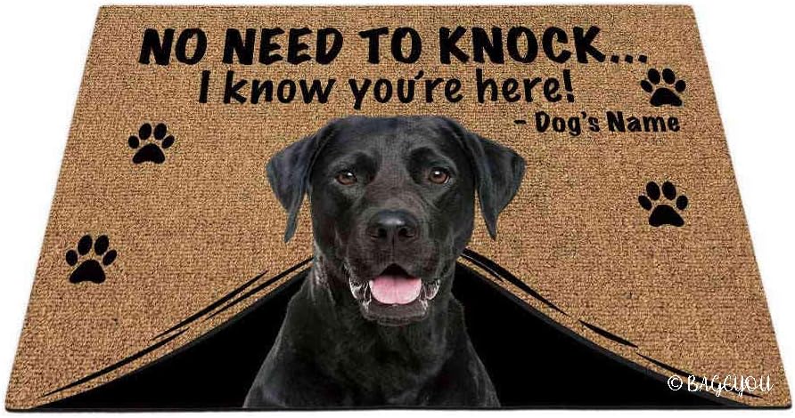 BAGEYOU Personalized Dog's Name Doormat with My Love Dog Labrador Welcome Floor Mat Not Need to Knock I Know You're Here 27.5 x 17.7