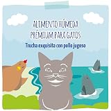 Ver la foto 5