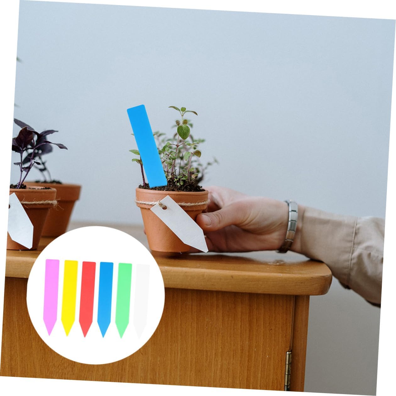 GALPADA 600pcs Plastic Plant Tags Nursery Garden Labels Waterproof Small Plant Markers with Stakes 10x1.8cm for Indoor Outdoor Potted Gardening