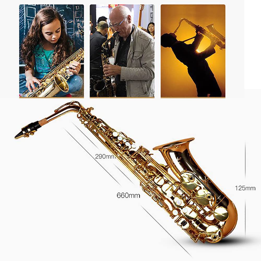 選定品 管楽器 吹奏楽 ホ調 中音 サックス 初心者 演奏 楽器 成人 受験