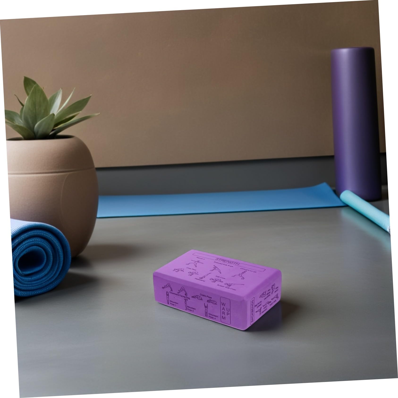 Blocco Yoga Porpora in Eva ad Alta Densità, Set da 1 | 9x6x3 Pollici, con Guida Stampata delle Posizioni, per Routine di Yoga e Fitness