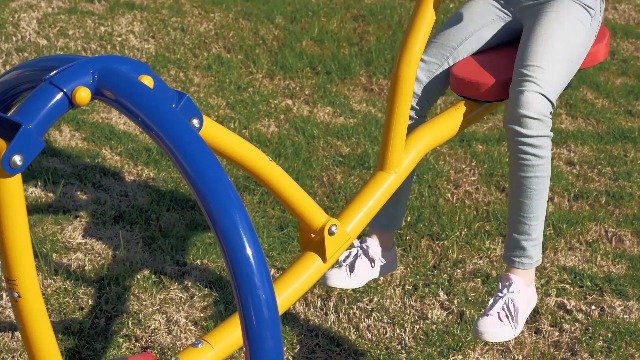 Amazon.com: Gym Dandy Pendulum Teeter Totter Seesaw - Pendulum