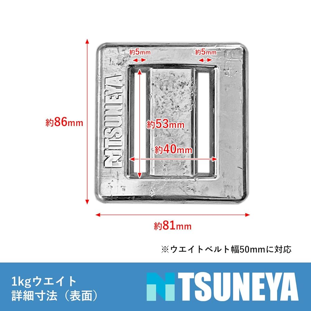 Amazon | ダイビングウエイト 1kg【1kg×1個】TSUNEYA ベルト用