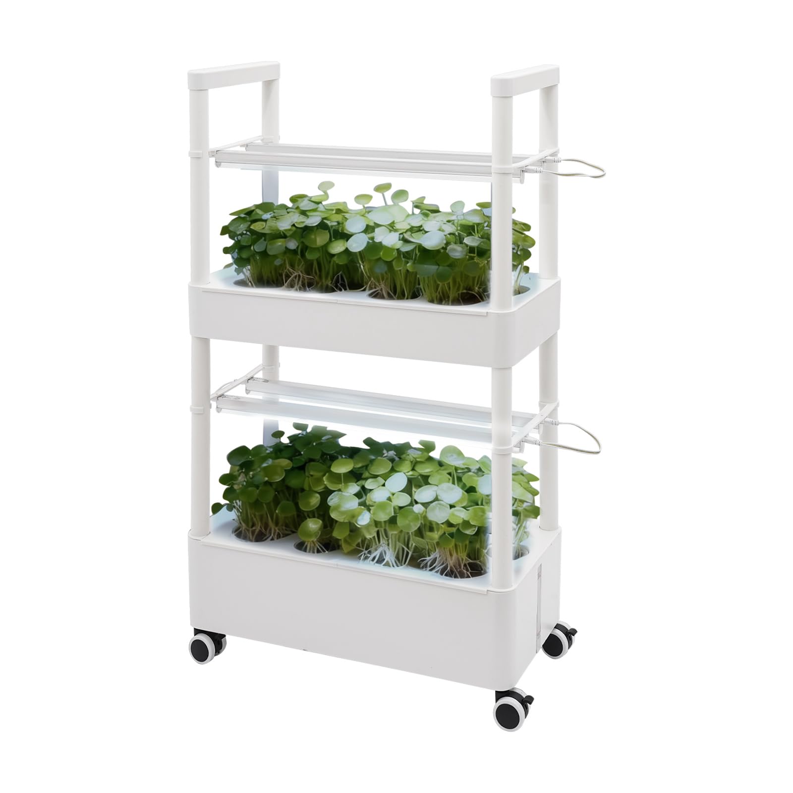 Système de culture hydroponique intérieur pour planter sans jardin ni balcon