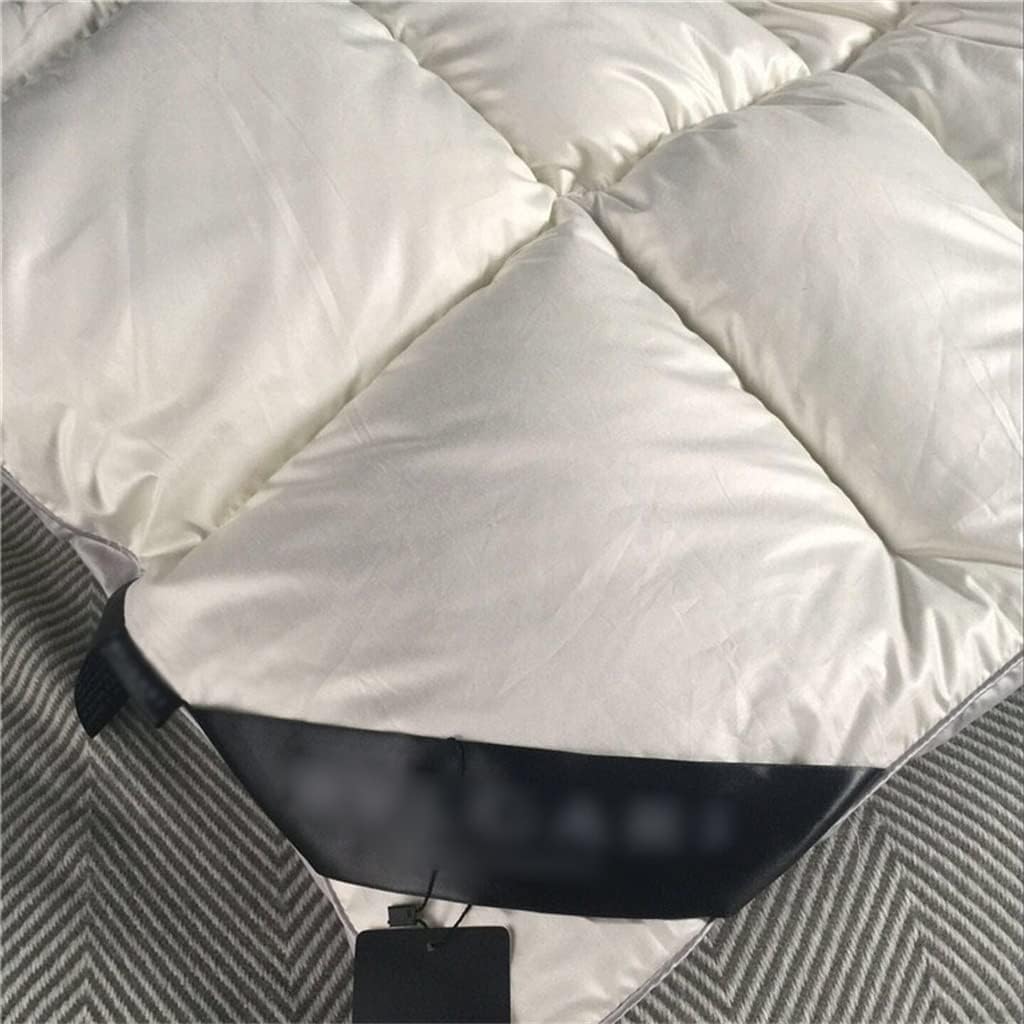 Goose Down Fiber Comforter Duvet Winter Quilt King Queen Twin Full Size(200x230cm 3kg)