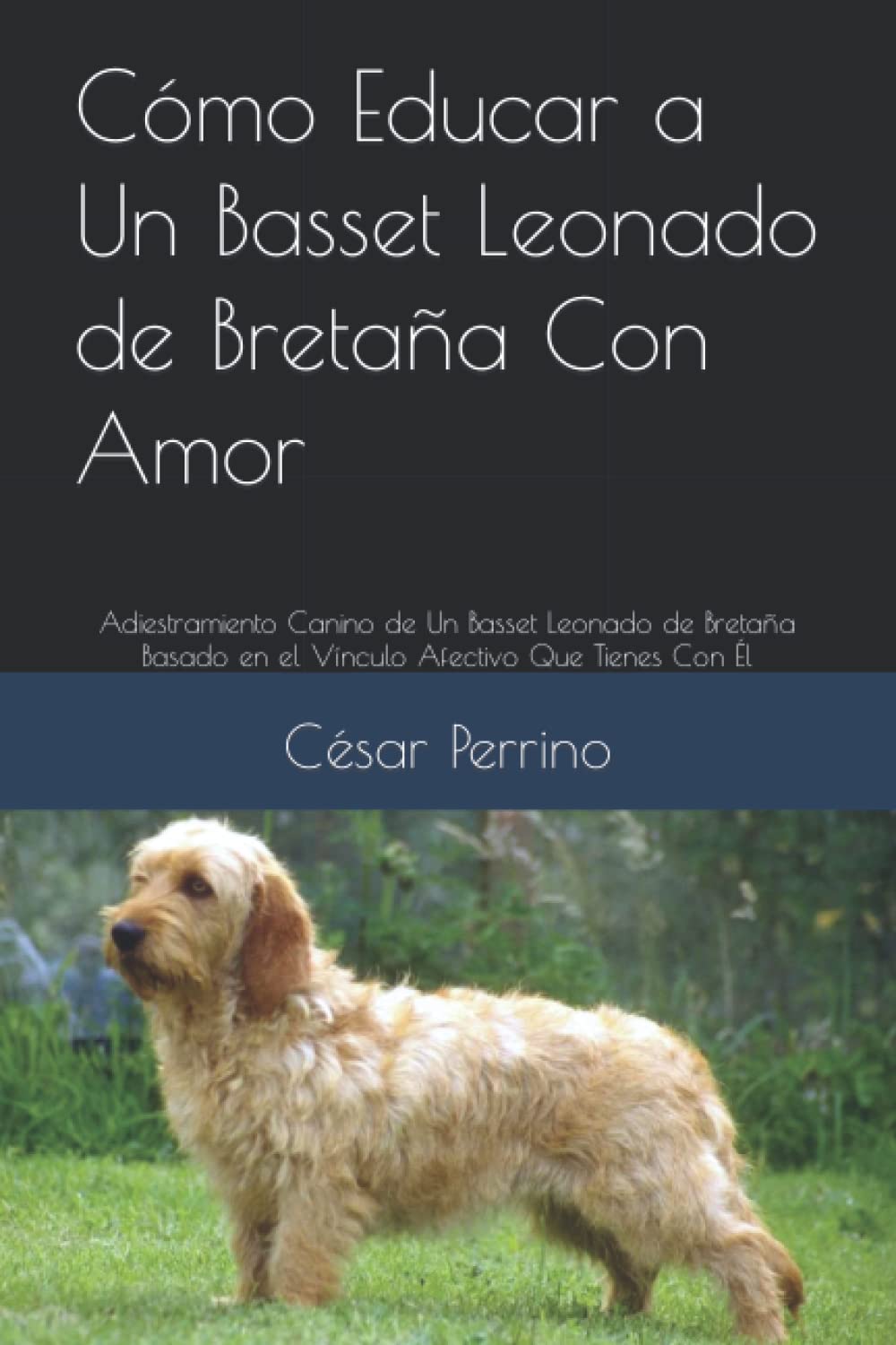 Cómo Educar a Un Basset Leonado de Bretaña Con Amor: Adiestramiento Canino de Un Basset Leonado de Bretaña Basado en el Vínculo Afectivo Que Tienes Con Él