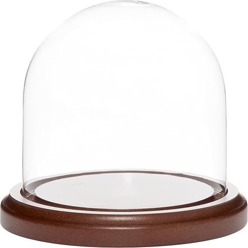 Miniatura 3 de Plymor Cúpula de cristal de 4" x 4" (base de chapa de roble)