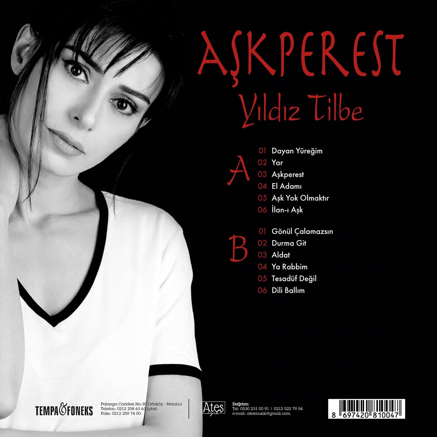 Yıldız Tilbe Aşkperest Plak 12 Parça Türkçe Pop Müzik Albümü