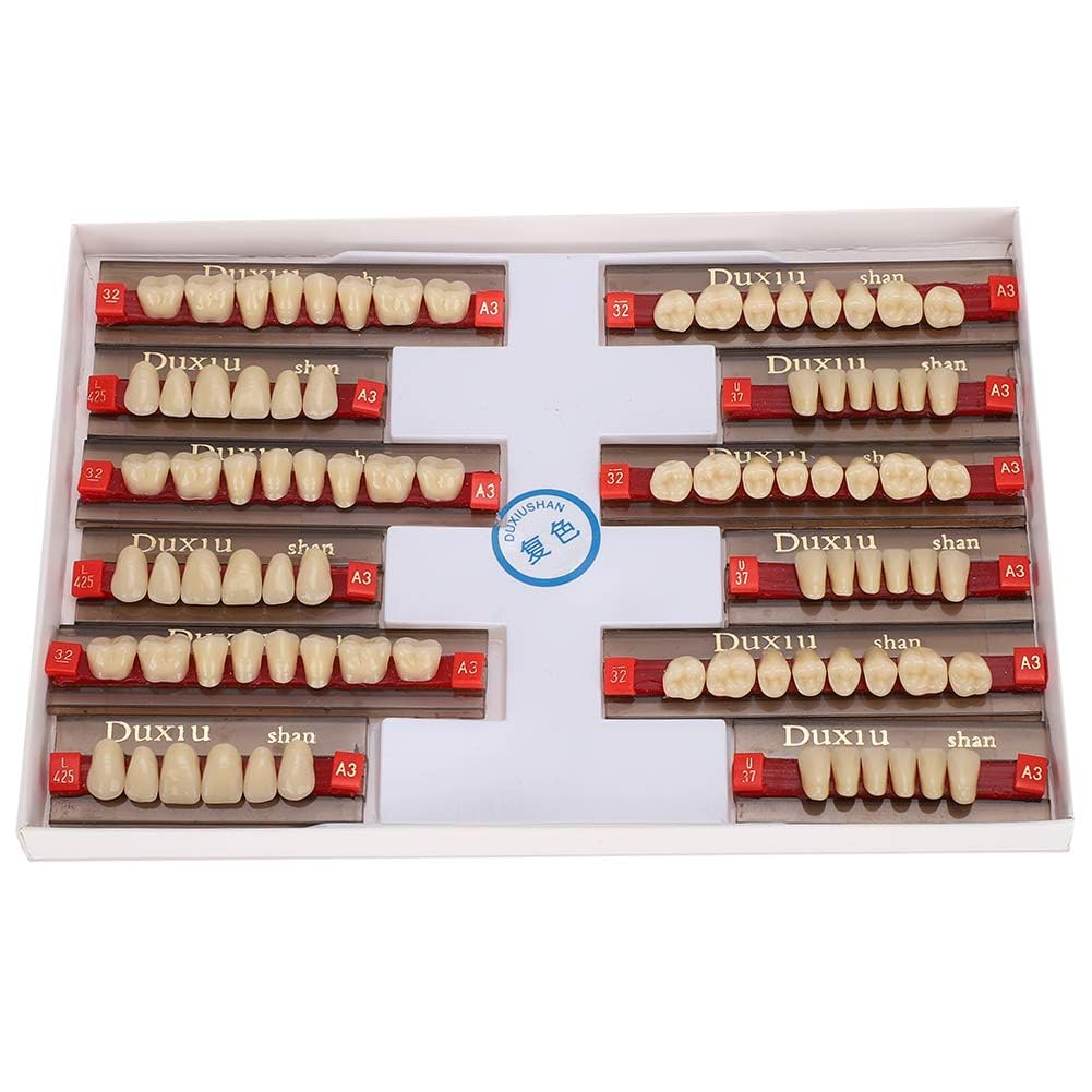 Denti in Resina Sintetica Acrilica per Protesi Dentale, Modelli Dentali, Forniture per Dentisti