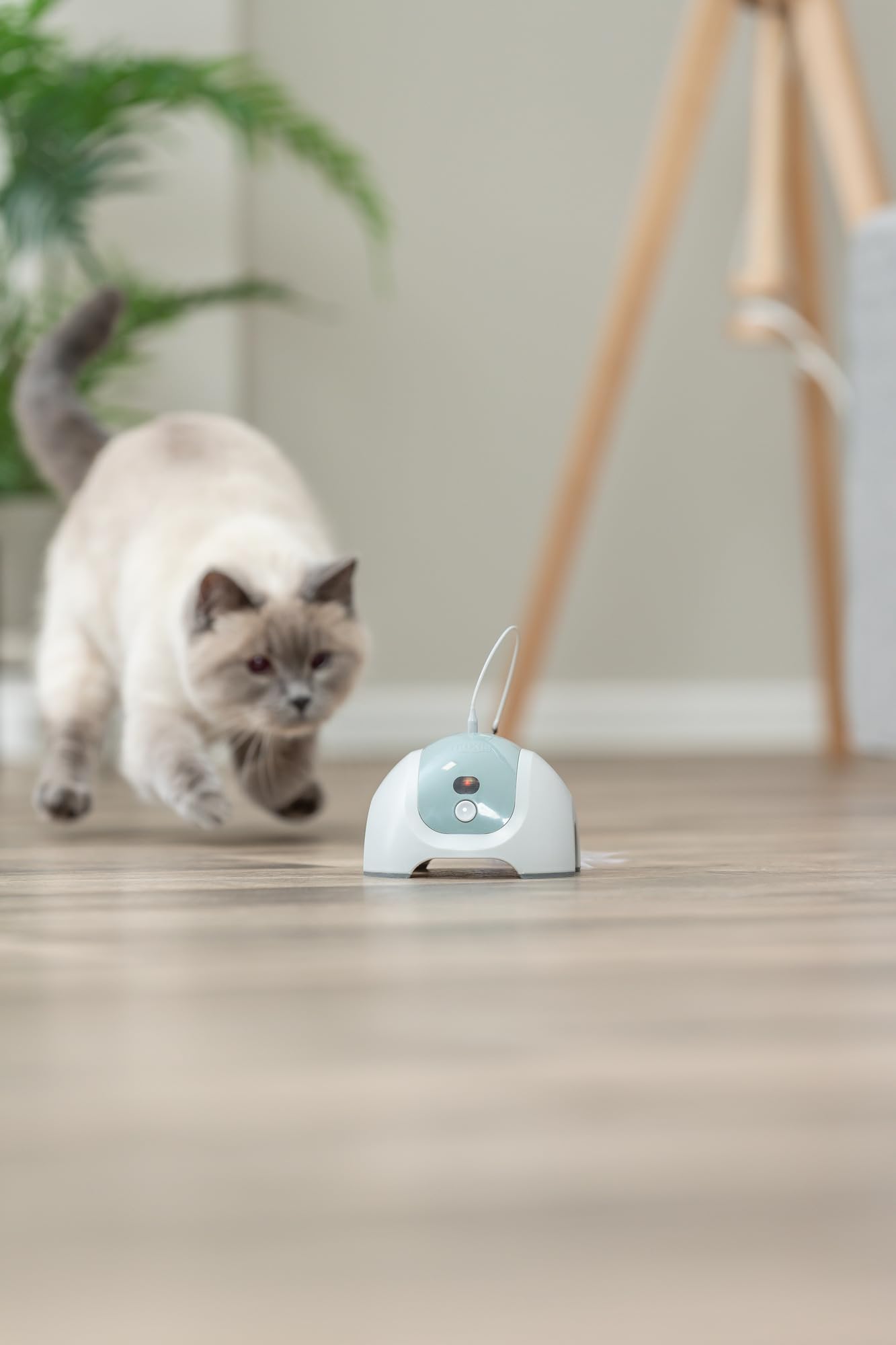 Trixie Catch me with Motor and Remote Control Interactive Cat Toy 3