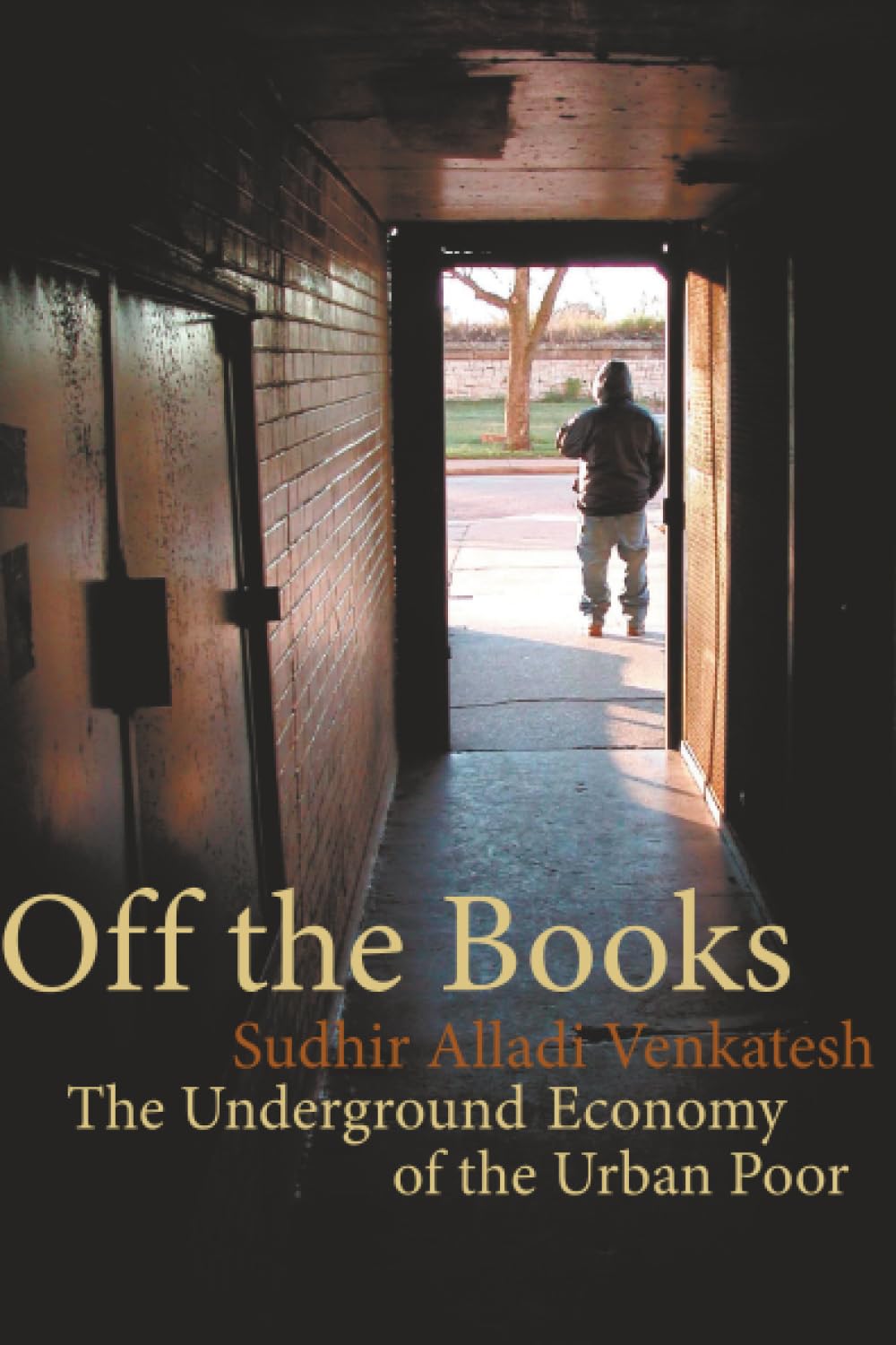 Off the Books: The Underground Economy of the Urban Poor cover