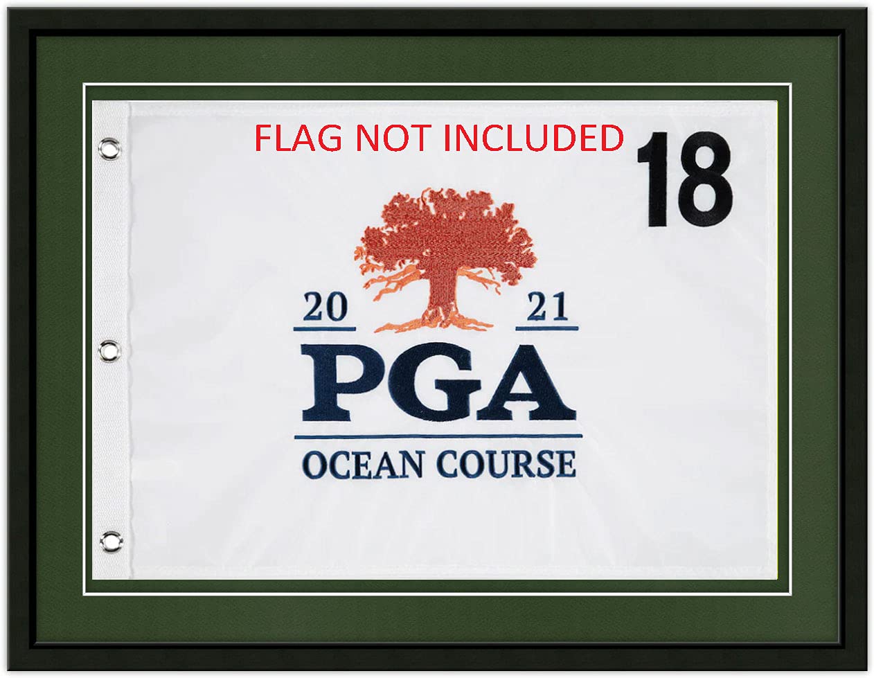 PGA - US OPEN SPECIAL; 19X25 Compact Black Golf Flag Frame, Moulding blk-001, NEW Fairway Green Mats (float mount; perfect for 14X20 PGA, US Open, Ryder Cup golf flag; flag not incl) UPDATED JULY 2025