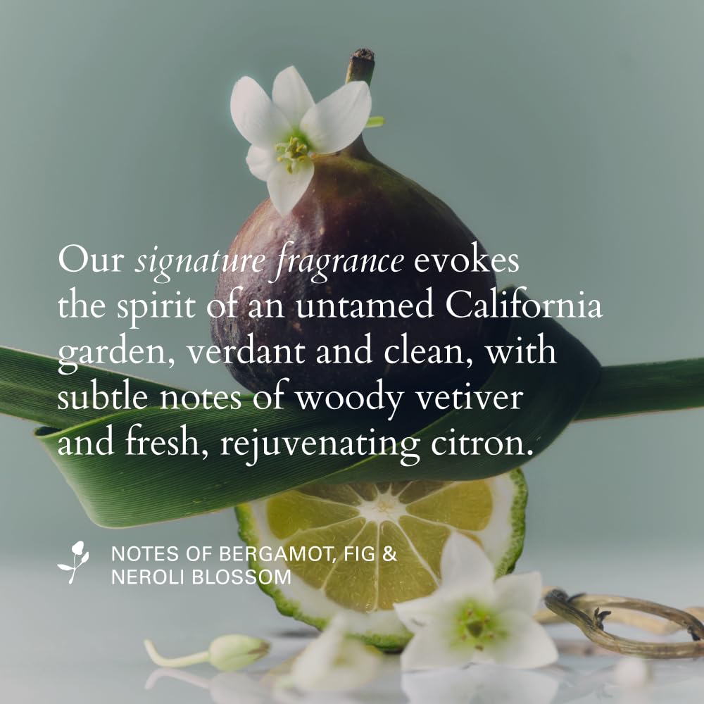 RŌZ Evergreen Styling Cream – Lightweight Hydrating Hair Cream with Light-Medium Hold for Smoothing Flyaways, Sculpting Styles & Refining Ends | Vegan, Sulfate-Free, Silicone-Free, Color Safe, 2 fl oz - Image 5