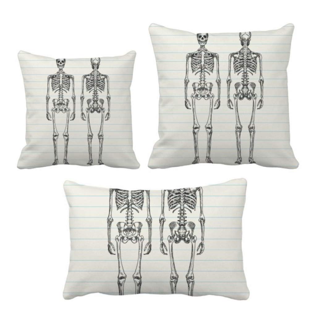 Structure du squelette humain coussin ensemble insérer canapé décoration sofa