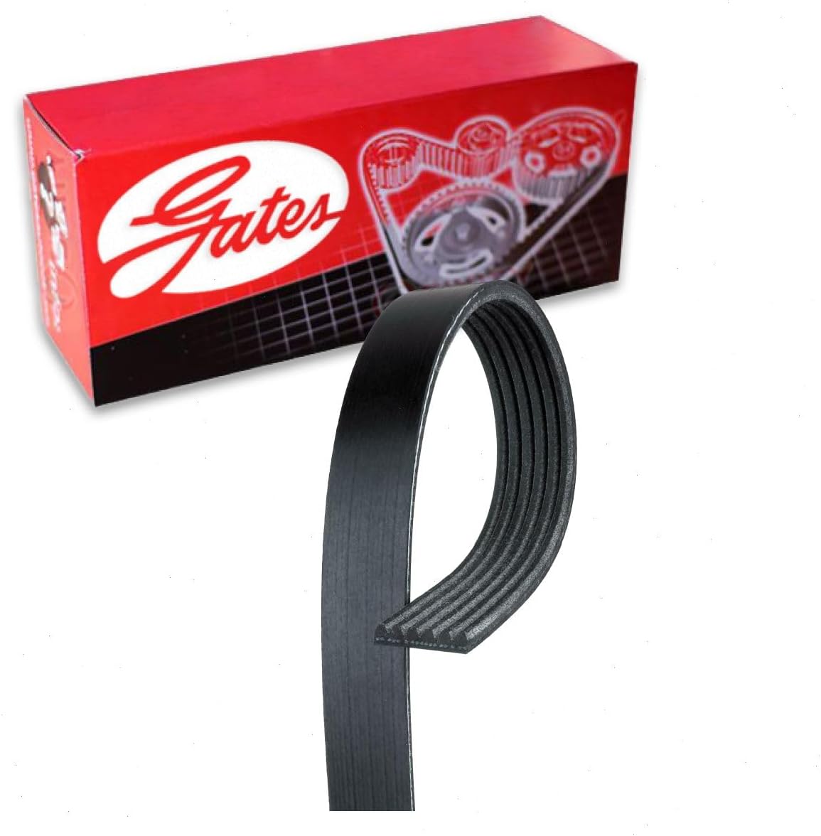 Gates Micro-V Serpentine Belt compatible with Jeep Cherokee 3.2L V6 2014-2019