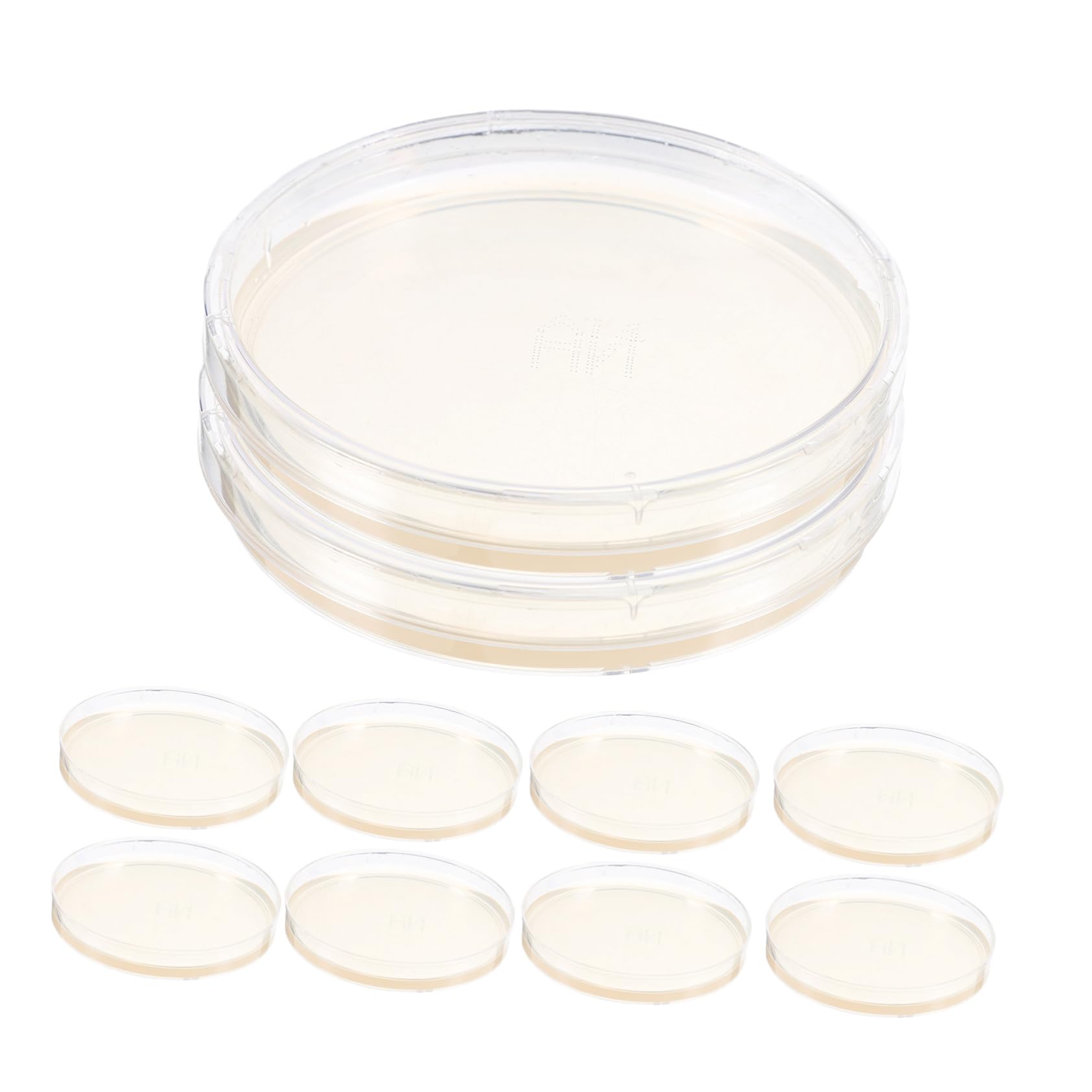 BUGUUYO 10pcs Agar Plate Petri Dishes Science Experiment Supplies Prepoured Petri Dish Agar Petri Plates Laboratory Supplies Science Experiment Plates Science Projects Tool