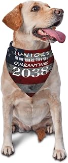 Class of 2038 Graduation Juniors Quarantine Triangle Dog Bandana Scarf Accessories for Pet Bibs
