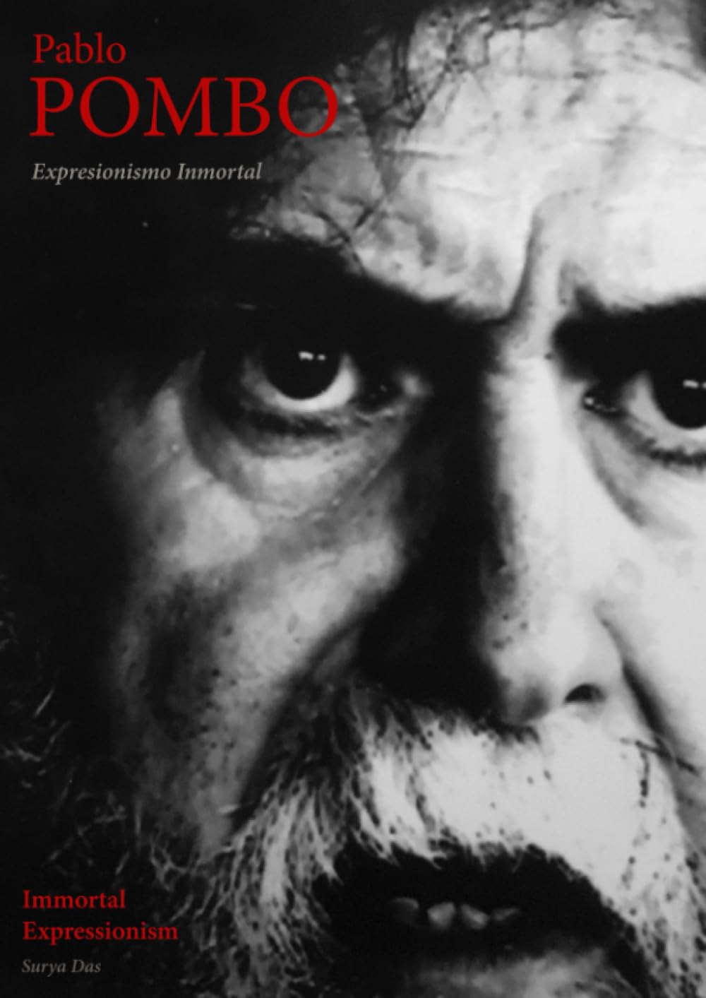 Expresionismo Inmortal Pablo Pombo catalogue d'art pour décoder la peinture