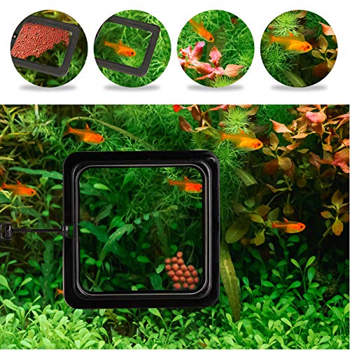 ZRDR Fish Feeding Ring, 2 Pack Black Aquarium Floating Food Feeder Circle Small Round and Square with Flexible Lever… - Image 8