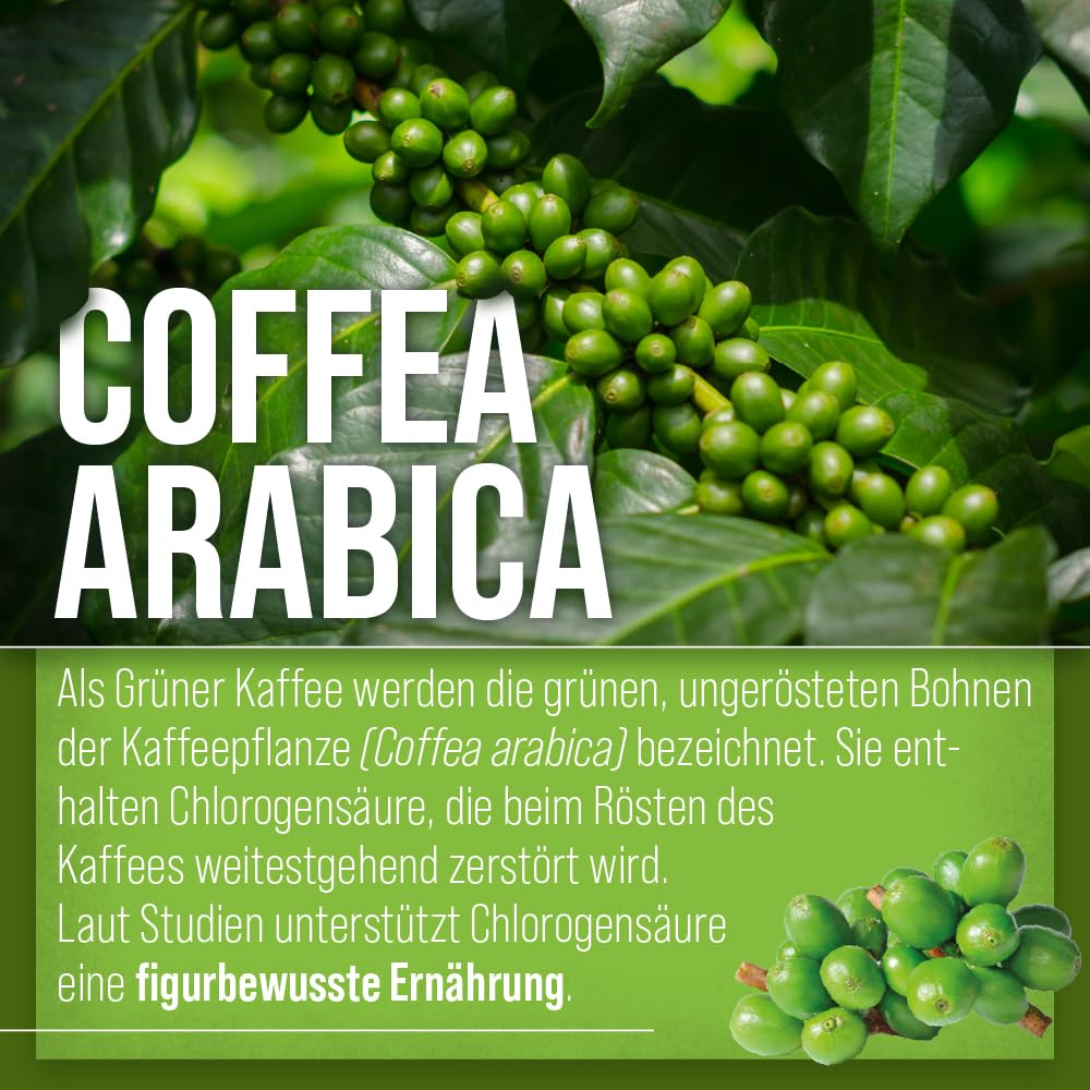 Greensen Kaffeebohnen-Zerstäuber – USB-C Aufladbar, Mit Magnetfuß, Gegen Statische Elektrizität Beim Mahlen, In Weiß