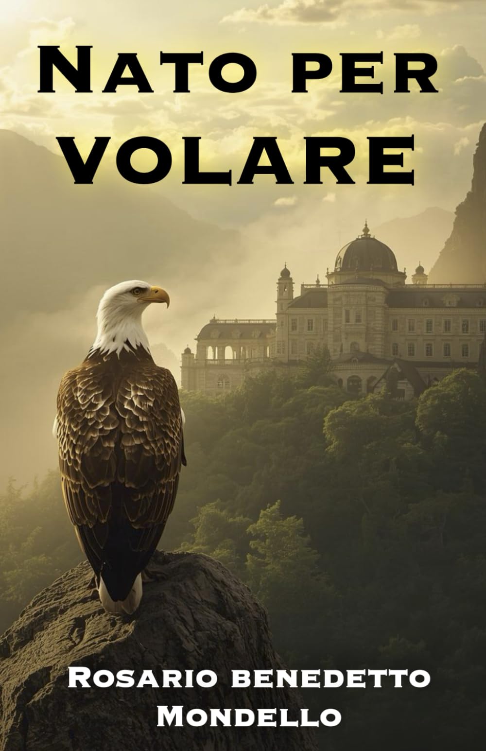 Nato per volare