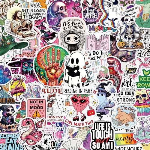 270+ PCS Holographic Funny Stickers for Adults Waterproof Vinyl Sarcastic Meme Decals for Laptop Water Bottle Phone Kindle Journal Scrapbook Bumper Skateboard Luggage No Repeats Accessories