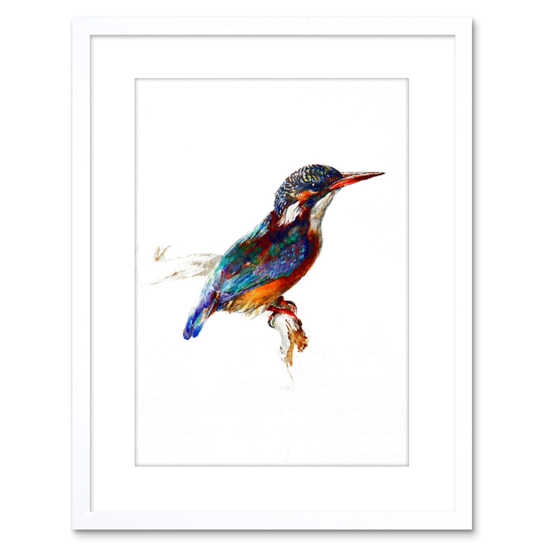 Wee Blue Coo PAINTING BIRD KINGFISHER RUSKIN FRAMED ART PRINT POSTER F97X12021