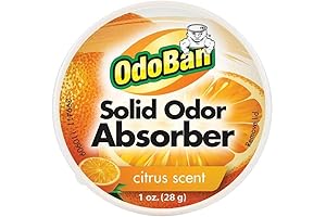 Citrus Solid Odor Absorber: The Perfect Odor Ban for Home Pets