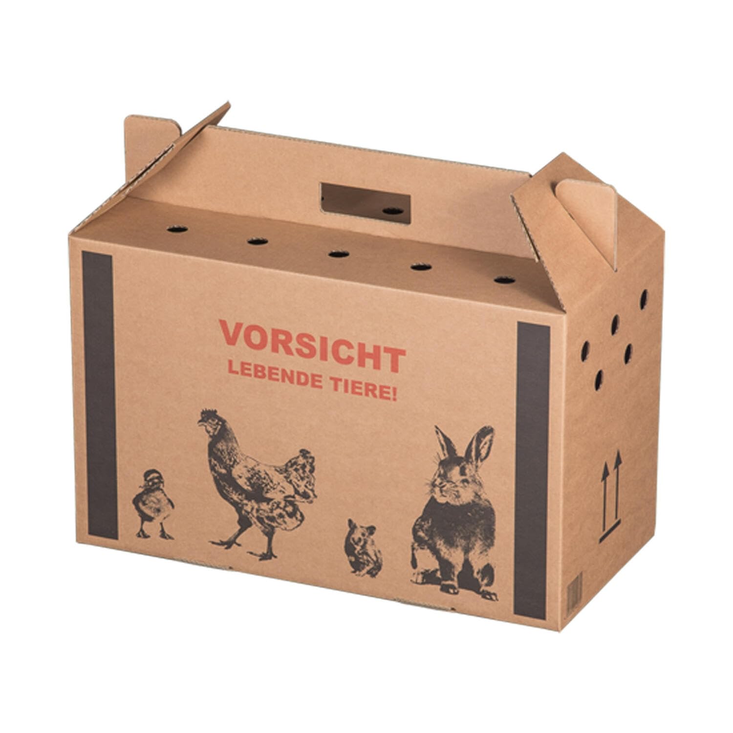 10 Transportkarton für Kleintiere 480x230x300mm mit Tragegriff Luftlöchern und Automatikboden - Größe M