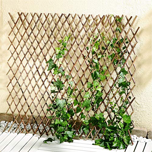 Dekoleidenschaft Rankgitter variabel aus Weide, Höhe max. 80 cm,...