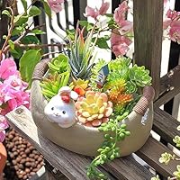 Amazon.co.jp: サボテン鉢 樹脂材質 猫 多肉植物用植木鉢 犬