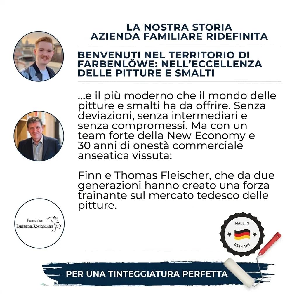Vernice protettiva per metallo premium vernice protettiva 3 in 1 efficace vernice protettiva su superfici metalliche, come ferro, acciaio, alluminio, zinco e metallo (1 l, grigio chiaro (RAL 7035))